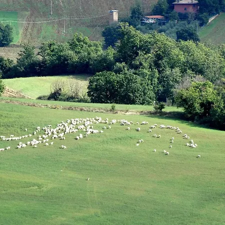 Frühstückspension Il Borgo Sulla Collina Civitella Benazzone