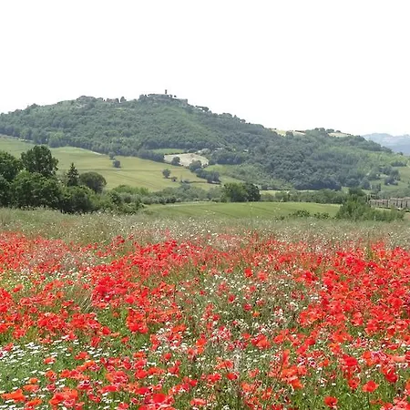 Il Borgo Sulla Collina * Civitella Benazzone