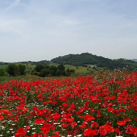 Il Borgo Sulla Collina Frühstückspension Civitella Benazzone