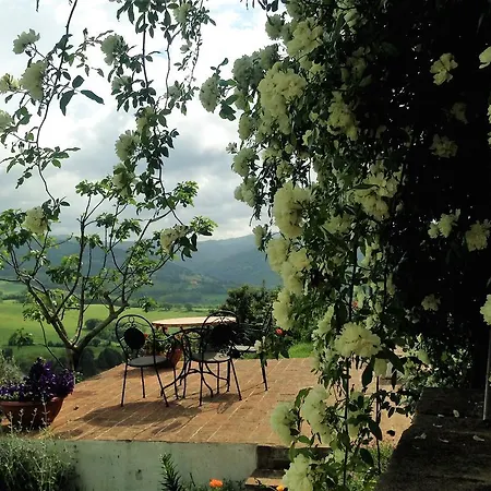 Frühstückspension Il Borgo Sulla Collina